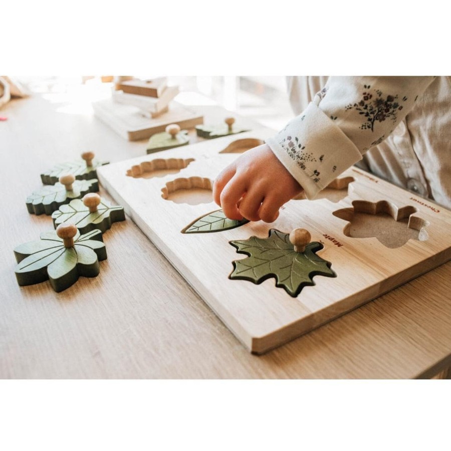 Kids Toys Qtoys Wooden Puzzles | Montessori Leaf Puzzle