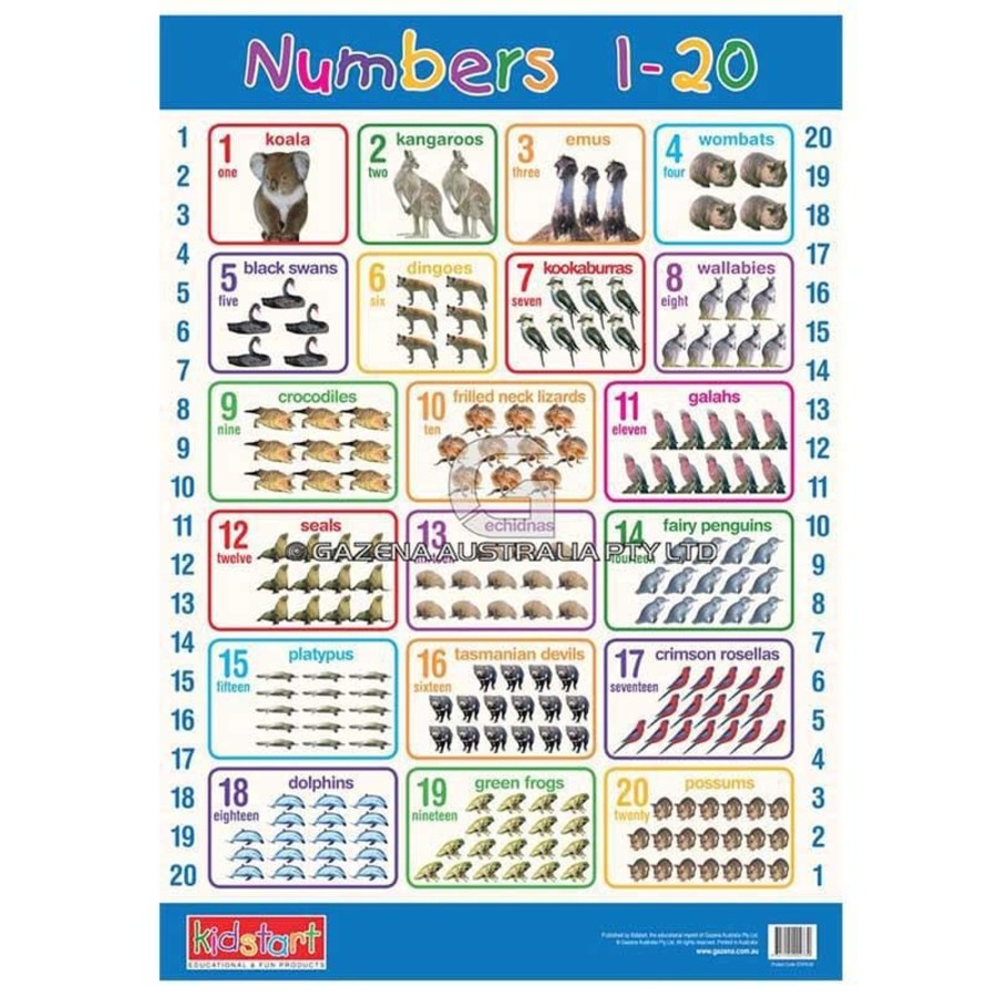 Kids Toys Kidstart Math & Numeracy | Numbers 1-20 & Numbers 1-100 Chart