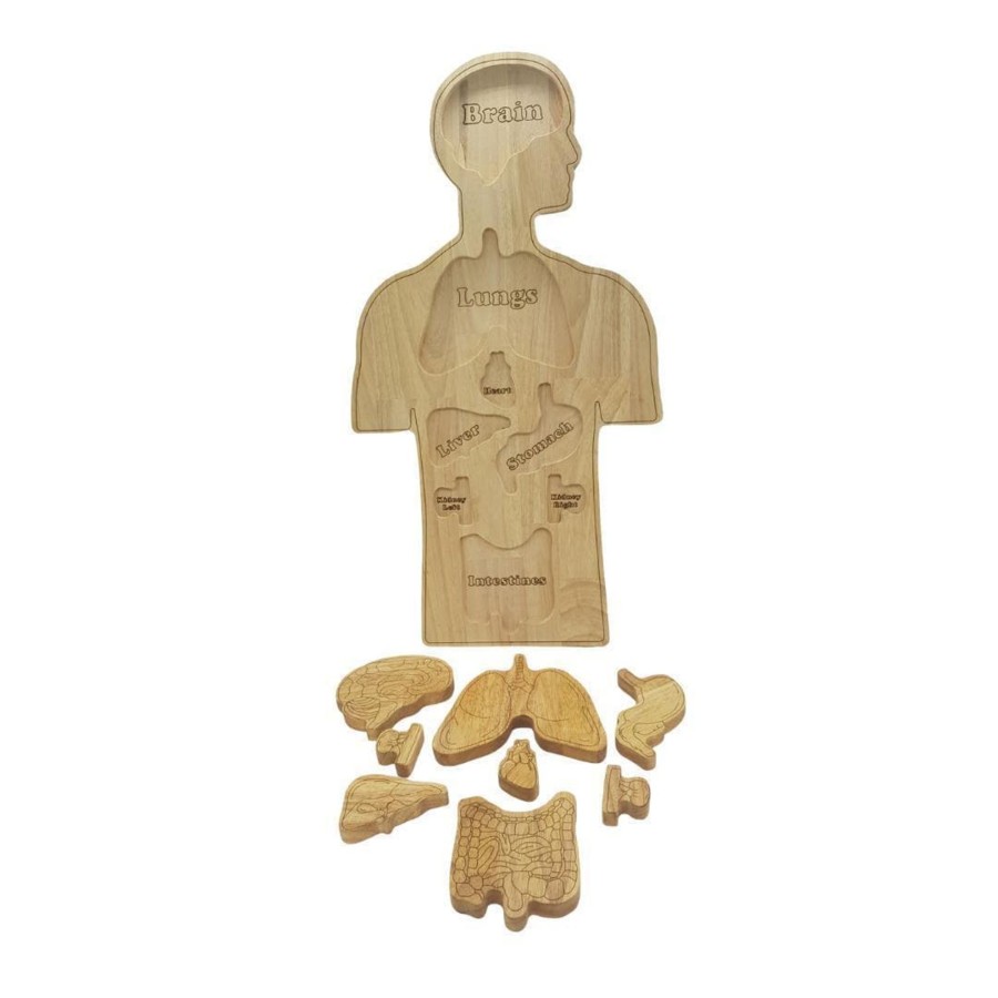 Kids Toys Qtoys Wooden Puzzles | Wooden Anatomy Puzzle