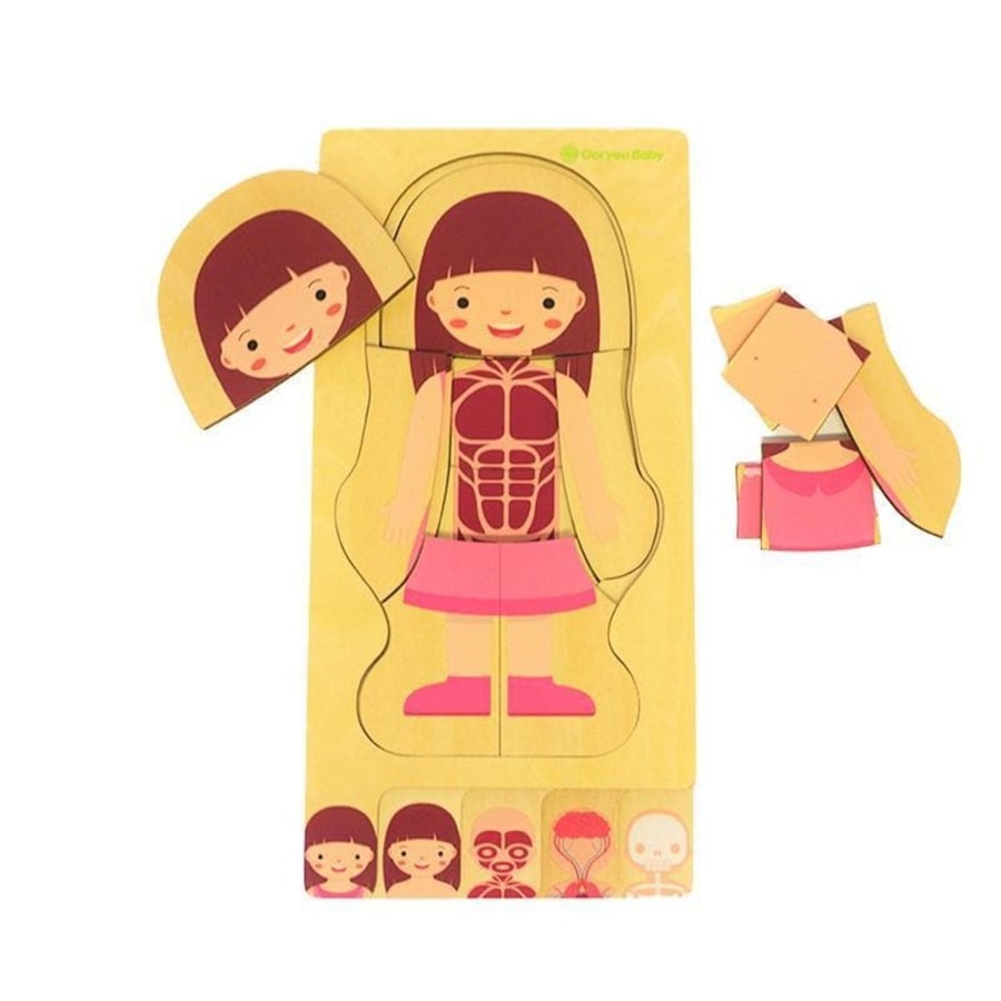 Kids Toys Goryeo baby Wooden Puzzles | Girl Body Puzzle