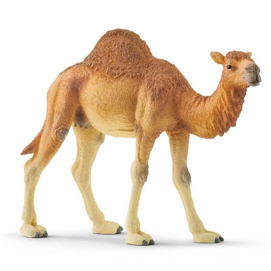 Kids Toys Schleich Wooden Animals | Dromedary