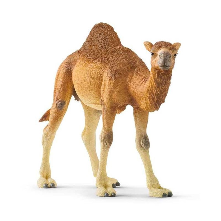 Kids Toys Schleich Wooden Animals | Dromedary