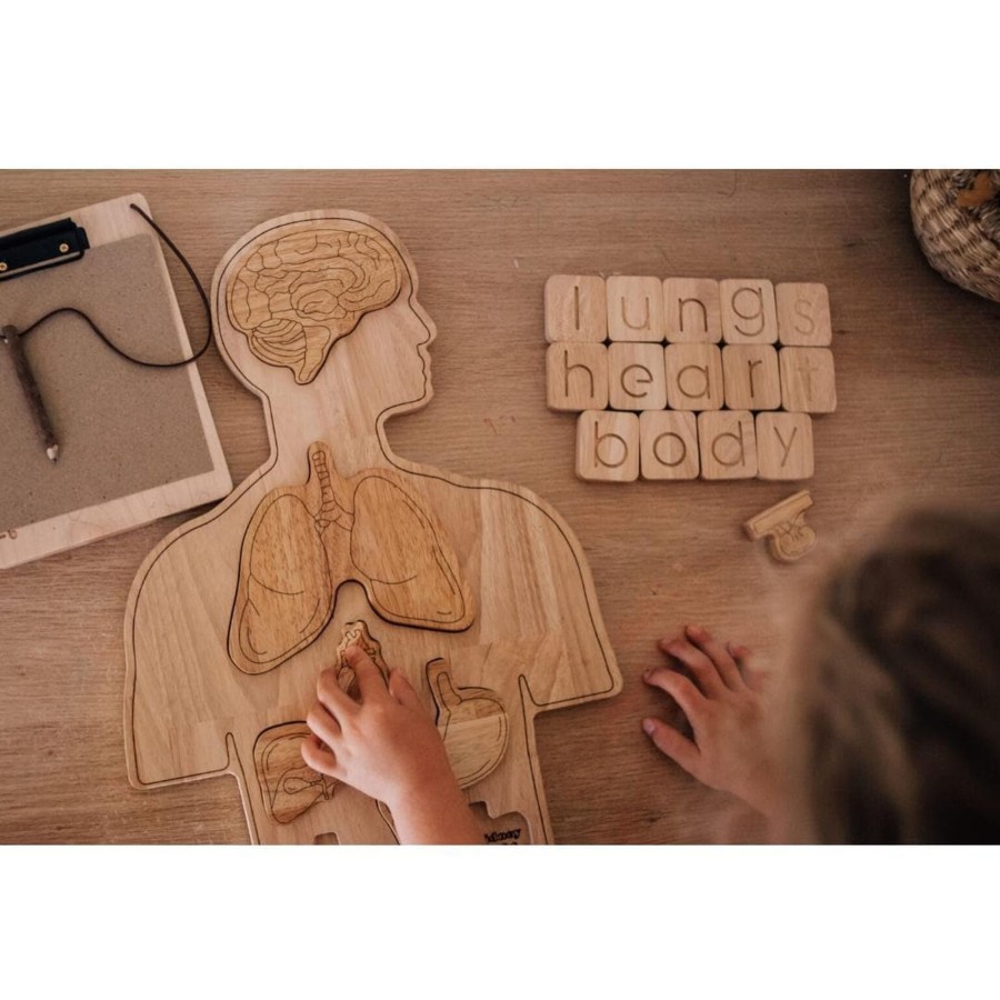 Kids Toys Qtoys Wooden Toys | Wooden Anatomy Puzzle