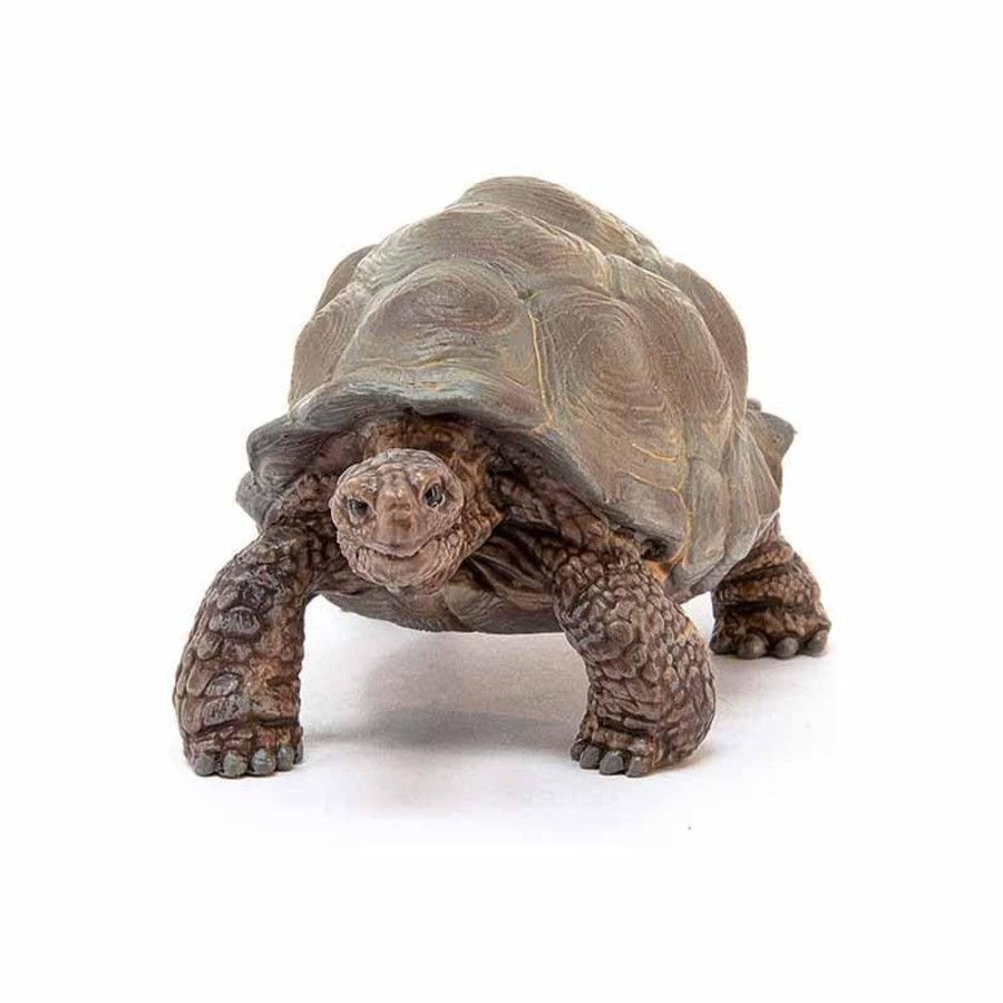 Kids Toys Schleich Wooden Animals | Giant Tortoise