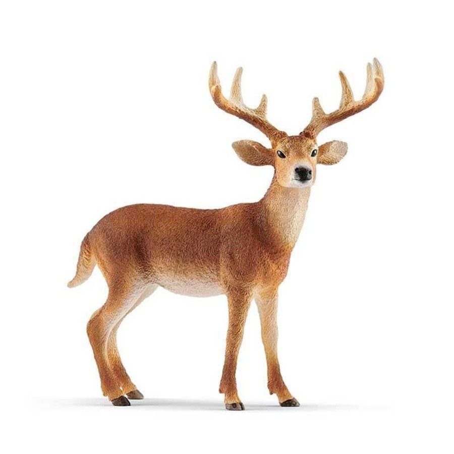 Kids Toys Schleich Animal Figurines | White-Tailed Buck