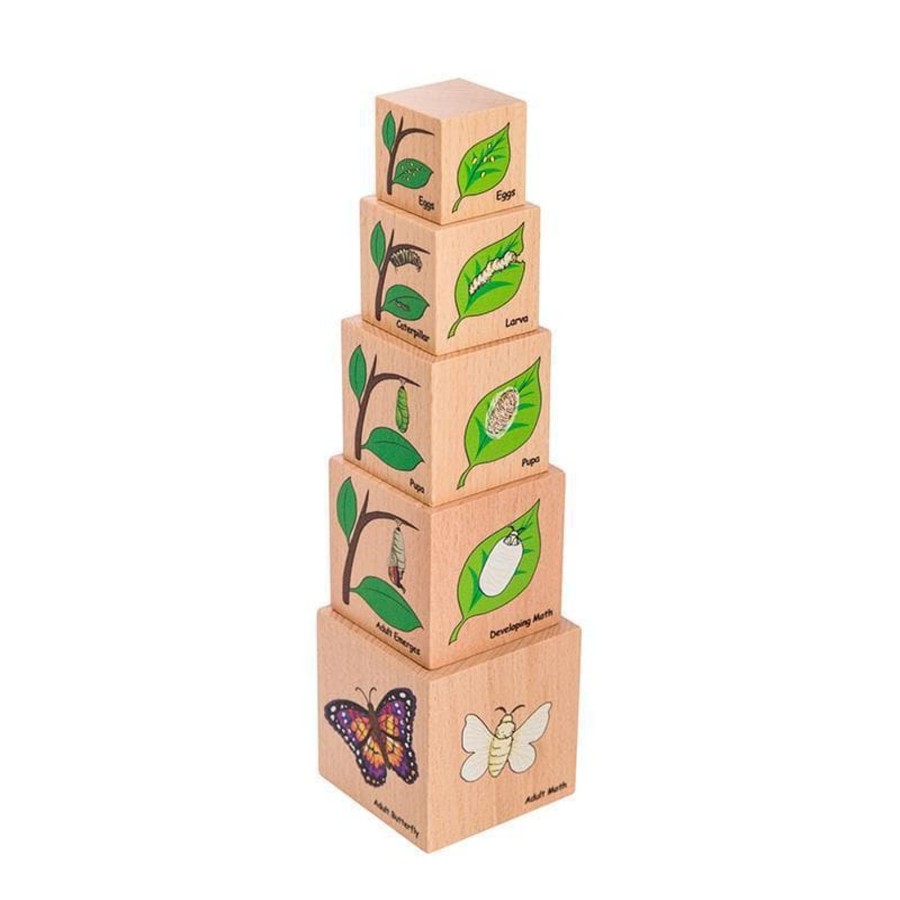 Babies & Toddlers The Freckled Frog Stacking Toys | Lifecycle Wooden Blocks