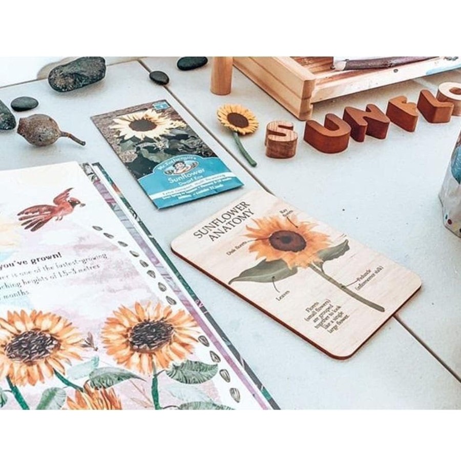 Kids Toys Kinfolk & Co. Wooden Stamps | Sunflower Anatomy Resource Pack