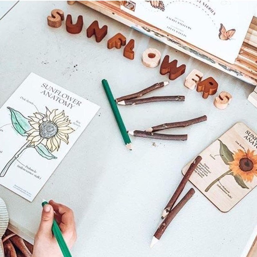 Kids Toys Kinfolk & Co. Wooden Stamps | Sunflower Anatomy Resource Pack