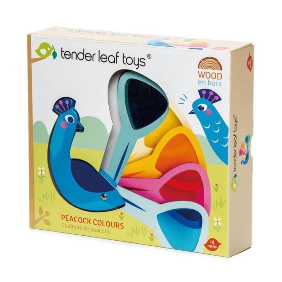 Kids Toys Tender Leaf Toys Colour & Paint | Peacock Colours