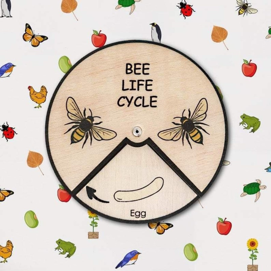 Kids Toys Minisko Flashcards | Learning Wheels - Animal Lifecycles