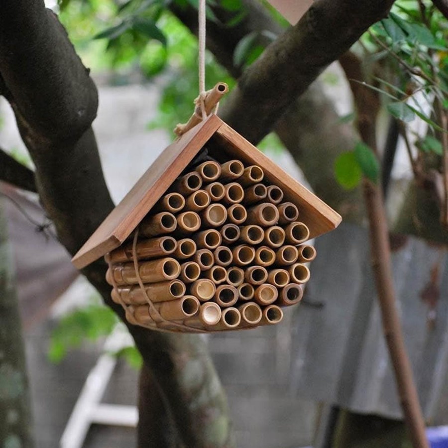 Kids Toys Qtoys Gardening Toys | Hanging Bee House