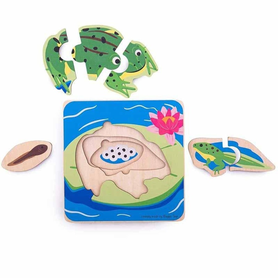 Kids Toys Bigjigs Wooden Puzzles | Lifecycle Layer Puzzle - Frog