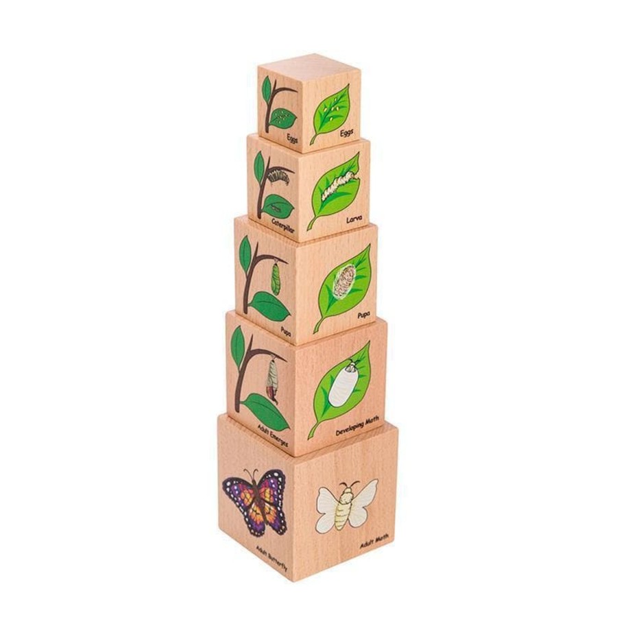 Babies & Toddlers The Freckled Frog Activity Toys | Lifecycle Wooden Blocks