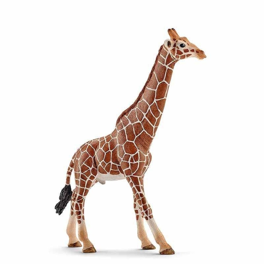 Kids Toys Schleich Wooden Animals | Giraffe, Male