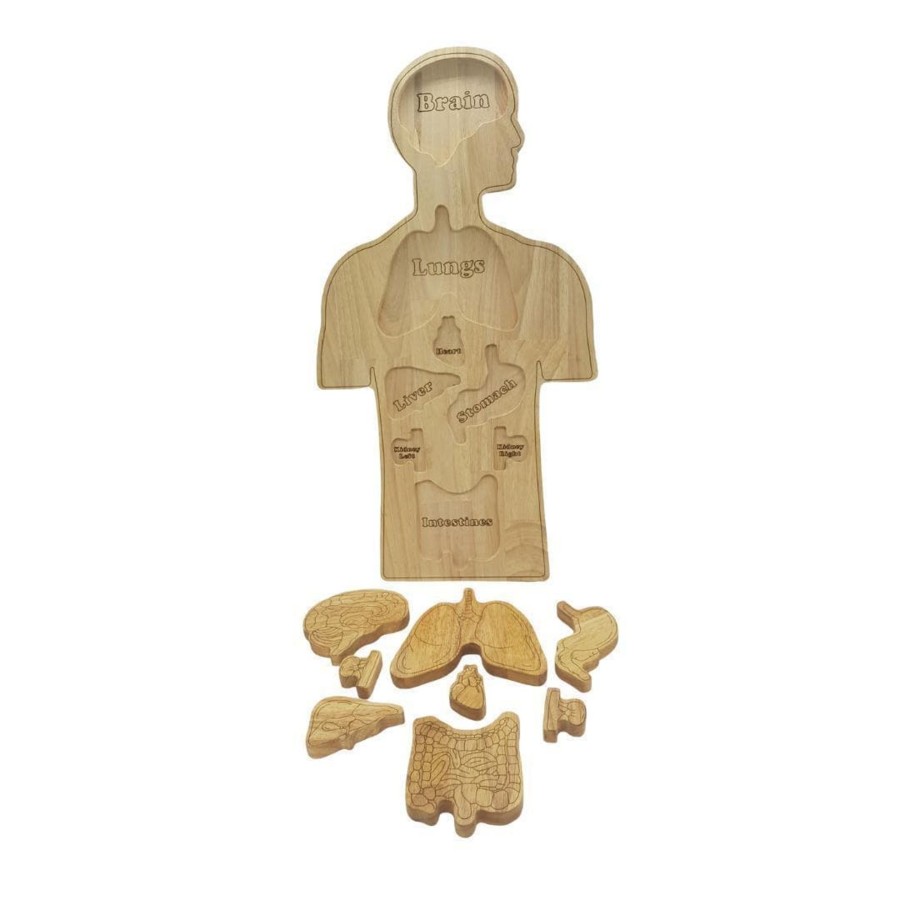 Kids Toys Qtoys Montessori Toys | Wooden Anatomy Puzzle