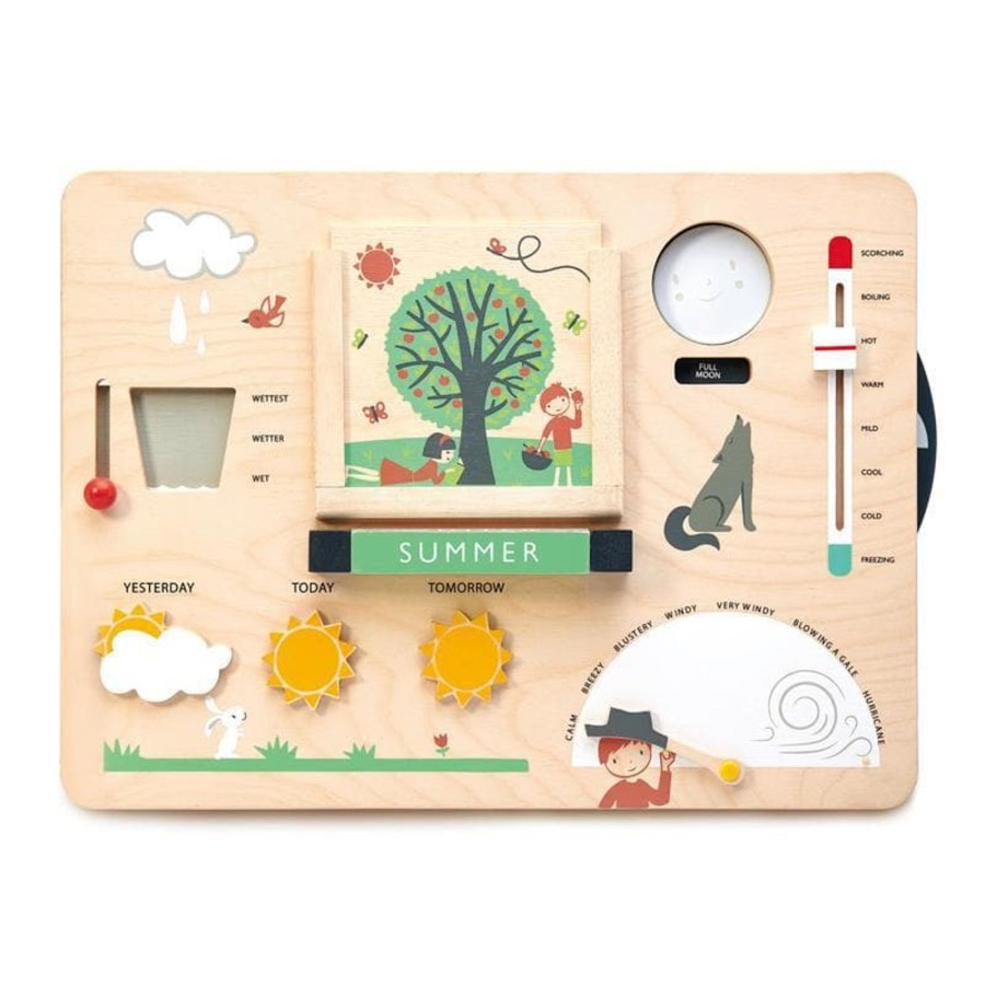 Kids Toys Tender Leaf Toys Wooden Toys | Wooden Weather Station